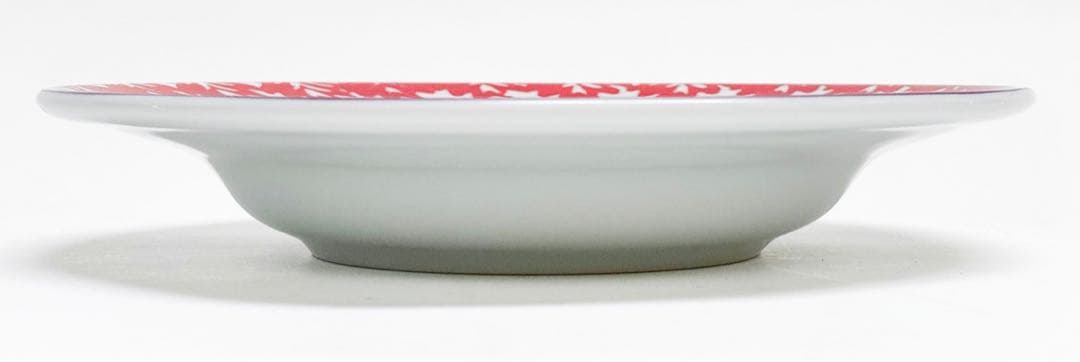 RICHARDGINORI ×paola navone スープ皿　6枚セット