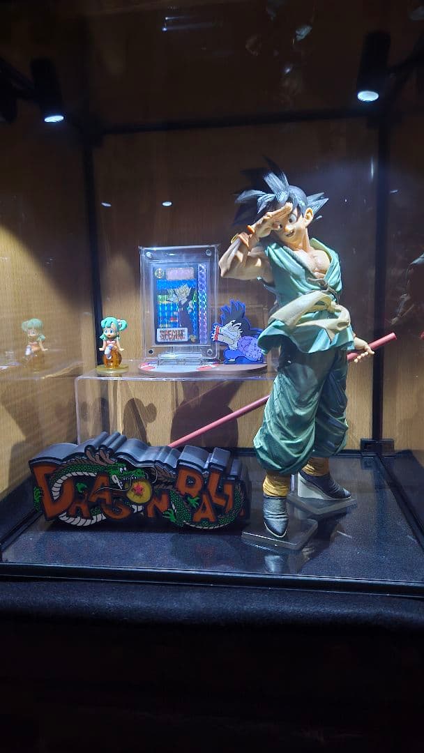 大型フィギアケース