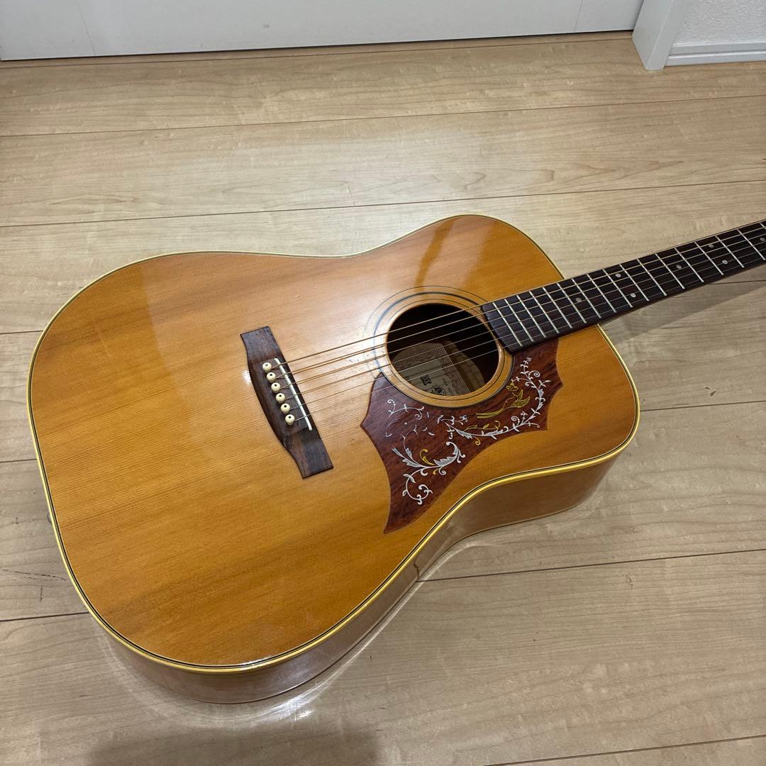 激レア　ZENON 全音　アコースティックギター　ハミングバードタイプ