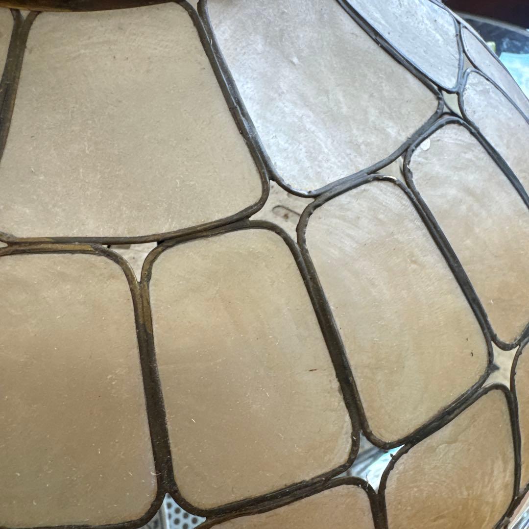 ペンダントライト　カスピ貝　シェル　傘のみ