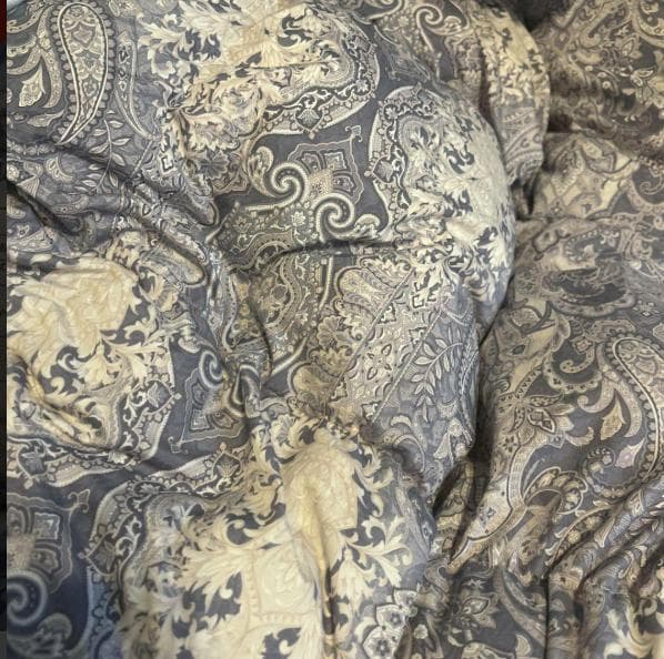 羽毛掛け布団　ホワイトダックダウン タンスのゲン　ダウン93％