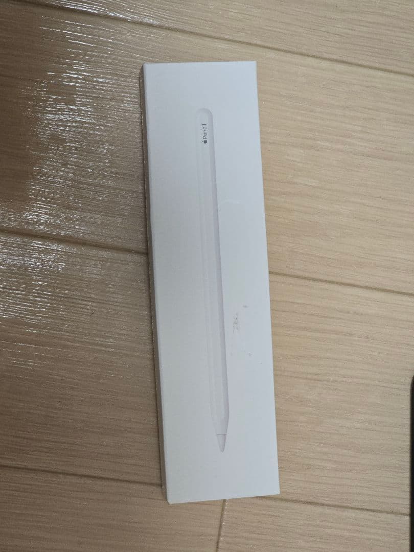 iPad Pro 12.9 第6世代 M2 256GB Wi-Fi ペン付き