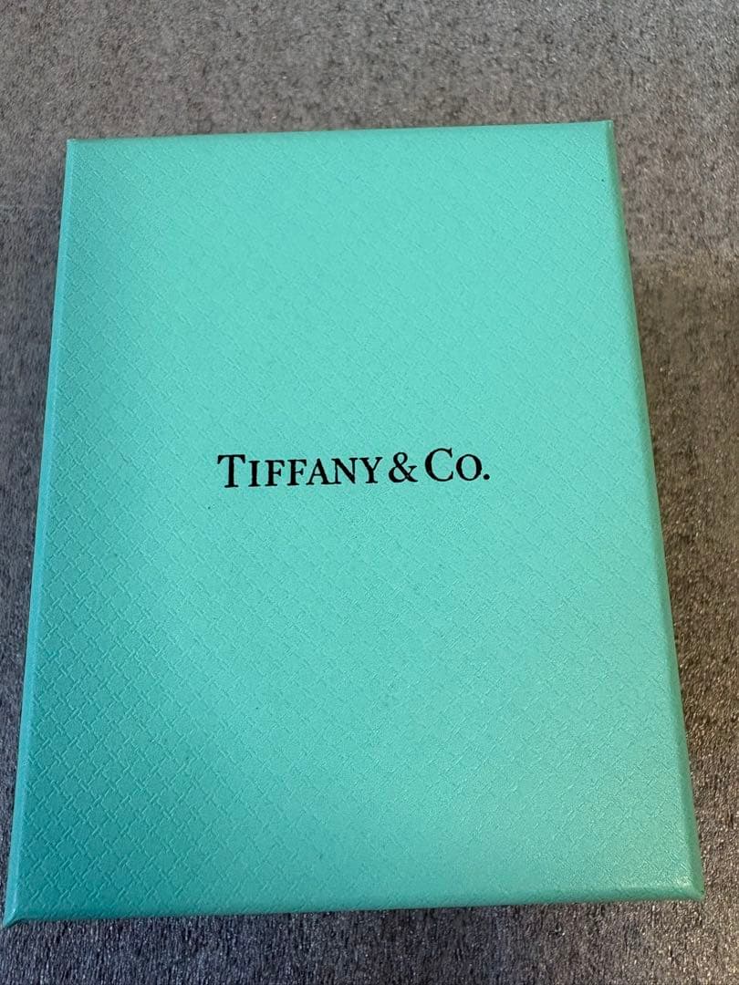 国内現行品　極美品　ティファニー　空箱　巾着袋　紙袋10セット