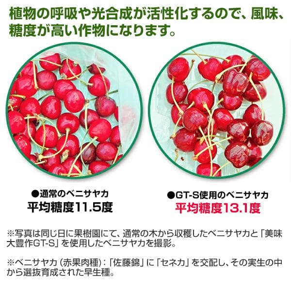 植物活力液 美味大豊作GT-S ２０リットル 作物が早く大きく育ち収穫量も増加！