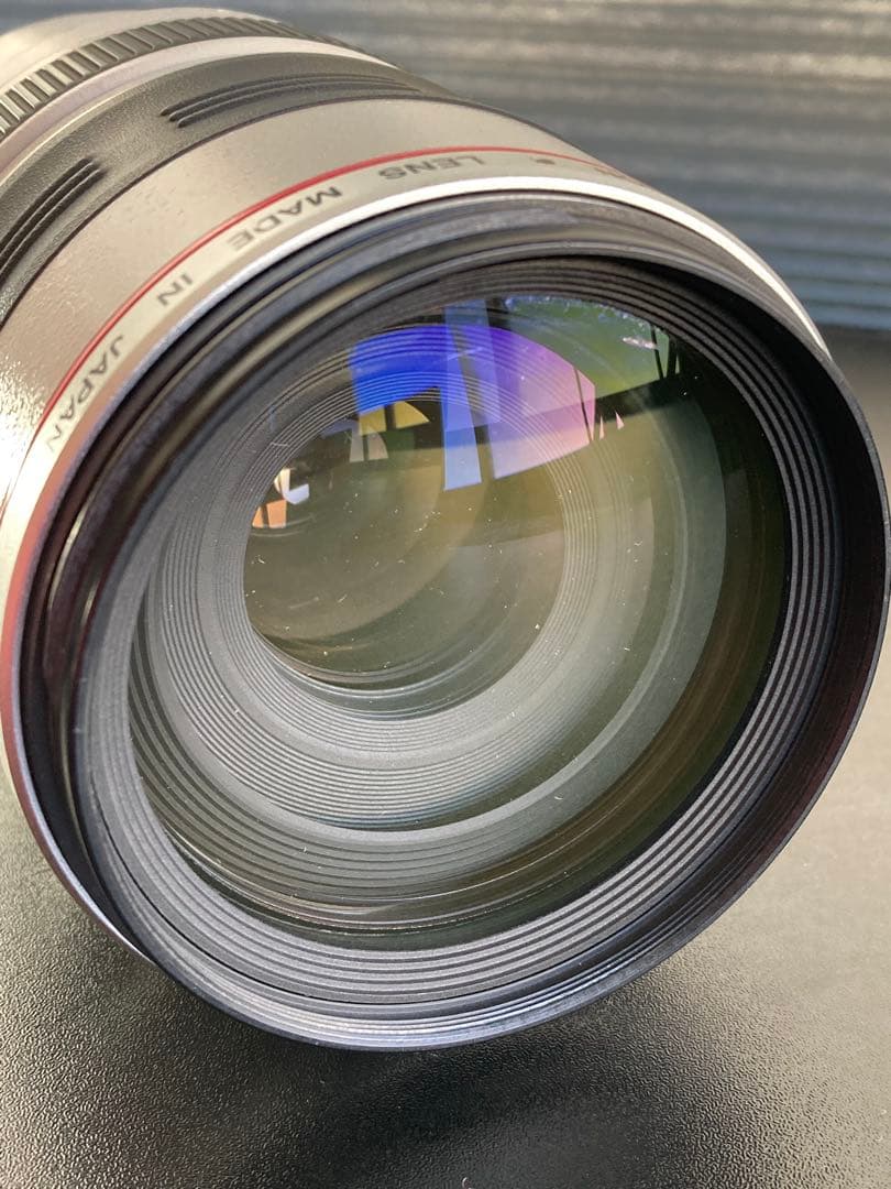 Canon EF 100-400mm ズームレンズ