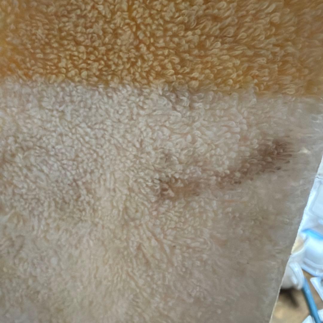 今がお得　エルメス　オレンジとクリーム色のバスタオル