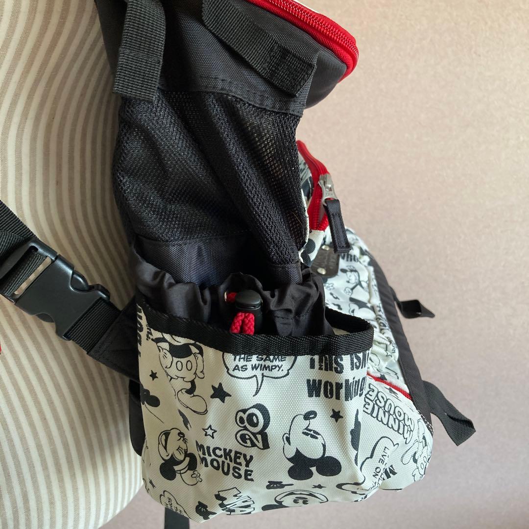 Disneyペット抱っこキャリー未使用品