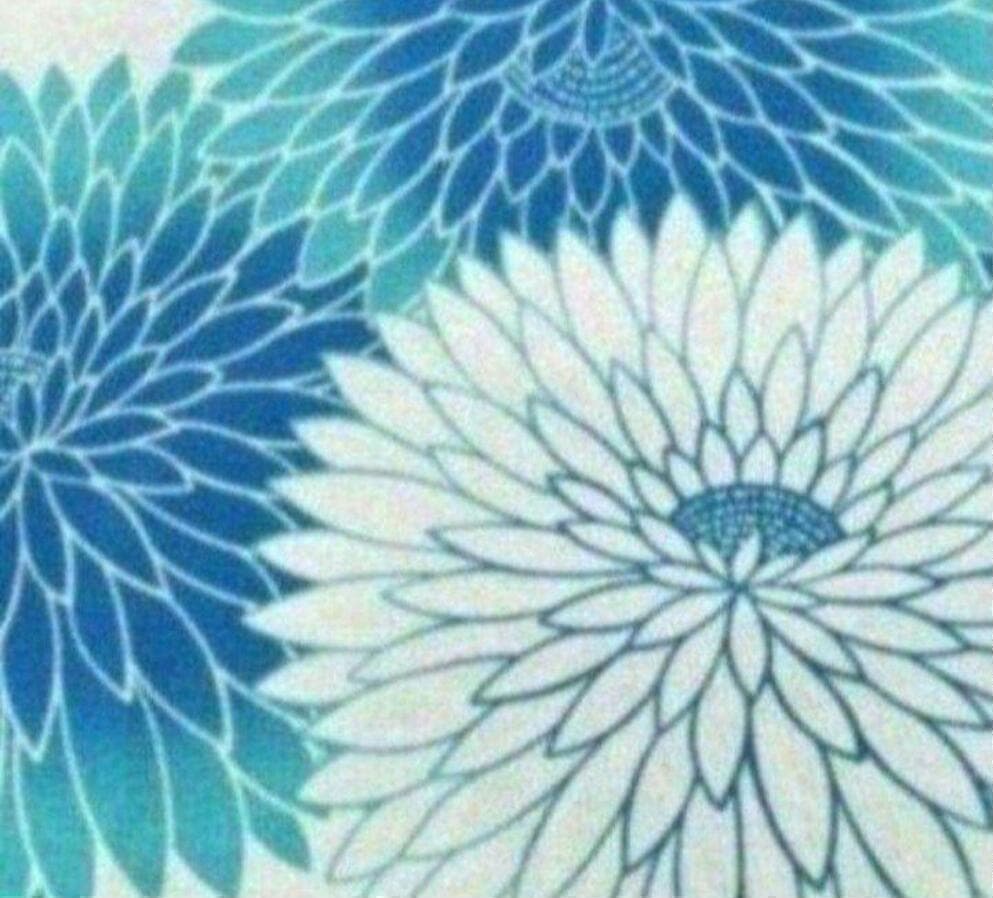 【雑誌掲載】上品高貴な丸菊づくし涼し流水色浴衣◆新品　呉服店購入 大正ロマン