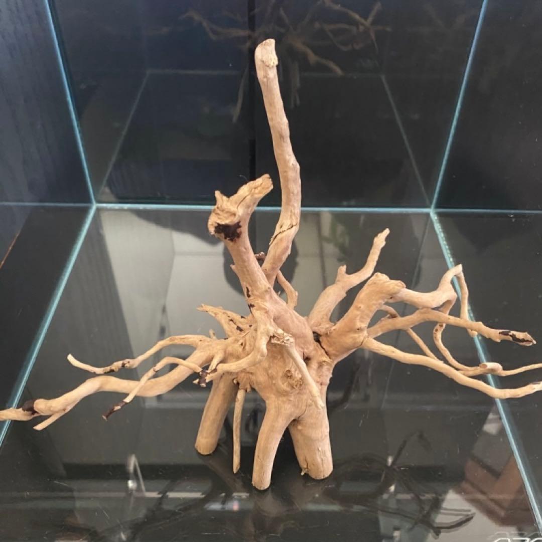 アクアデザインアマノ　ADA