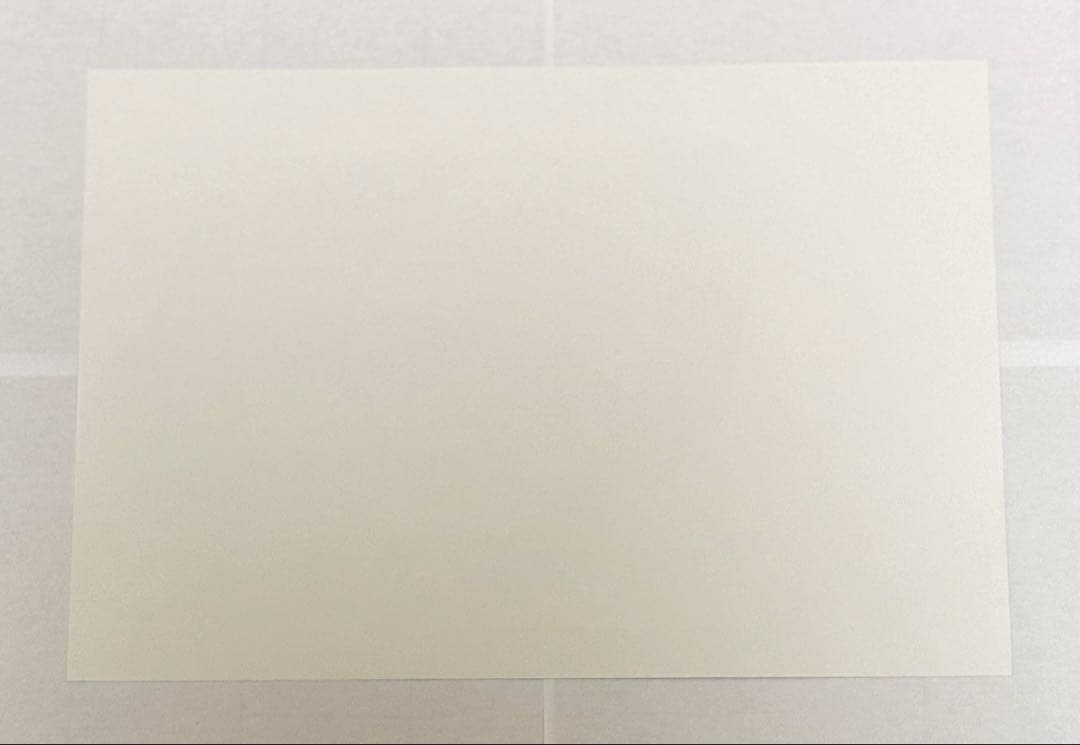 鬼滅の刃 胡蝶しのぶ 胡蝶カナエ ランチョンマット ufotable ダイニング