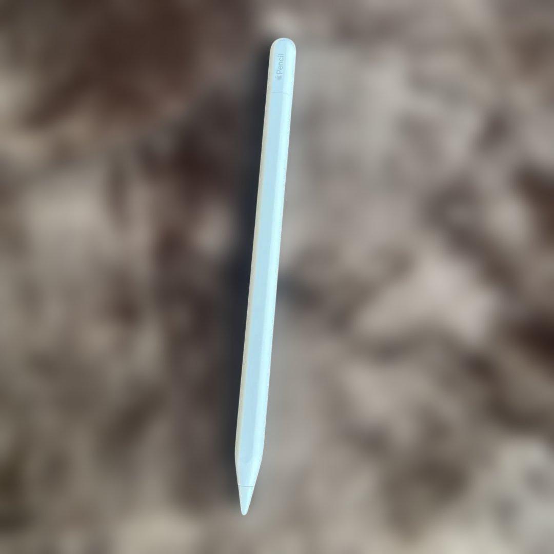 Apple Pencil ホワイト(USB-C) 専用ケース付き