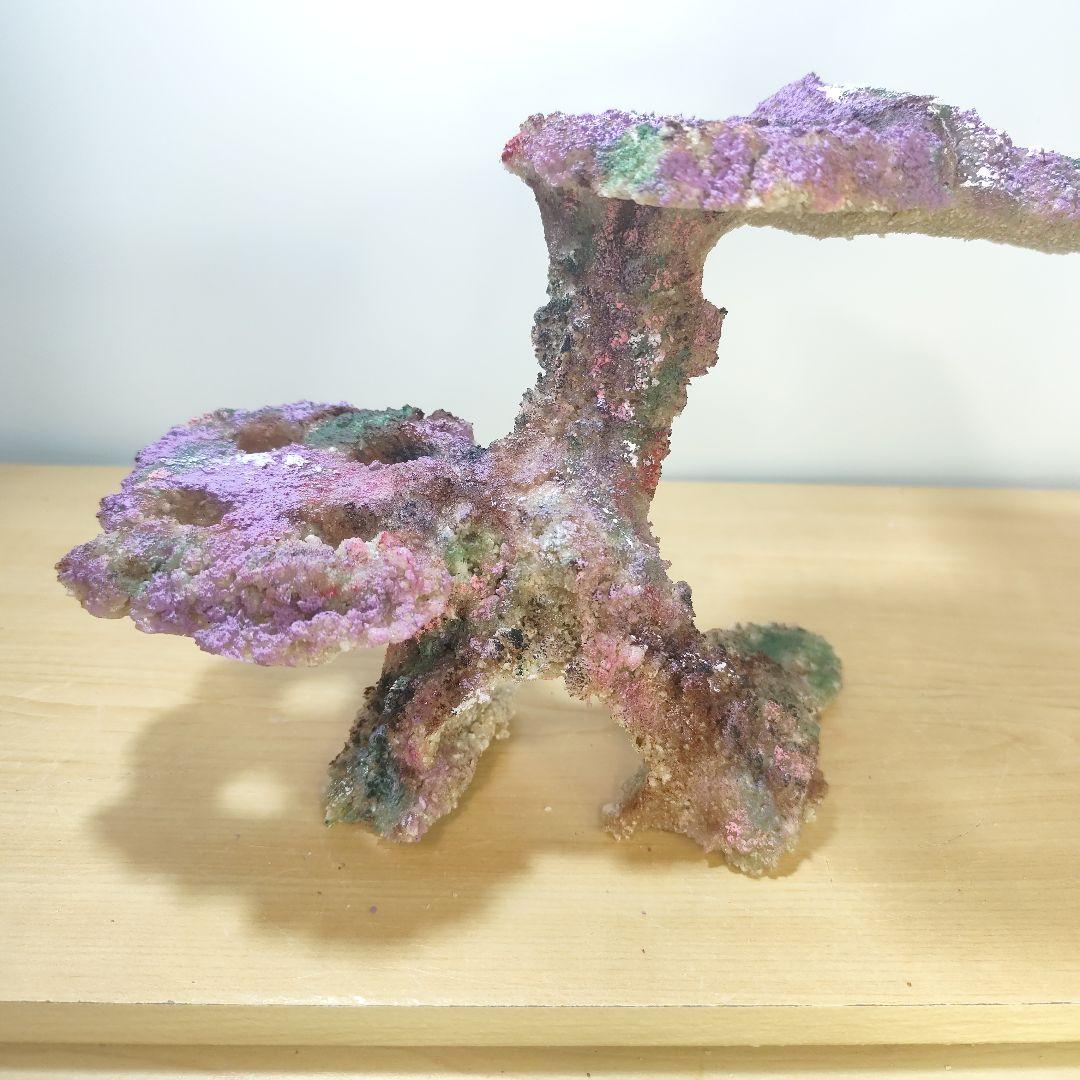 プラグ穴付き アク抜き不要人工ライブロック 海水水槽 レプリカ コーラルフラグ7