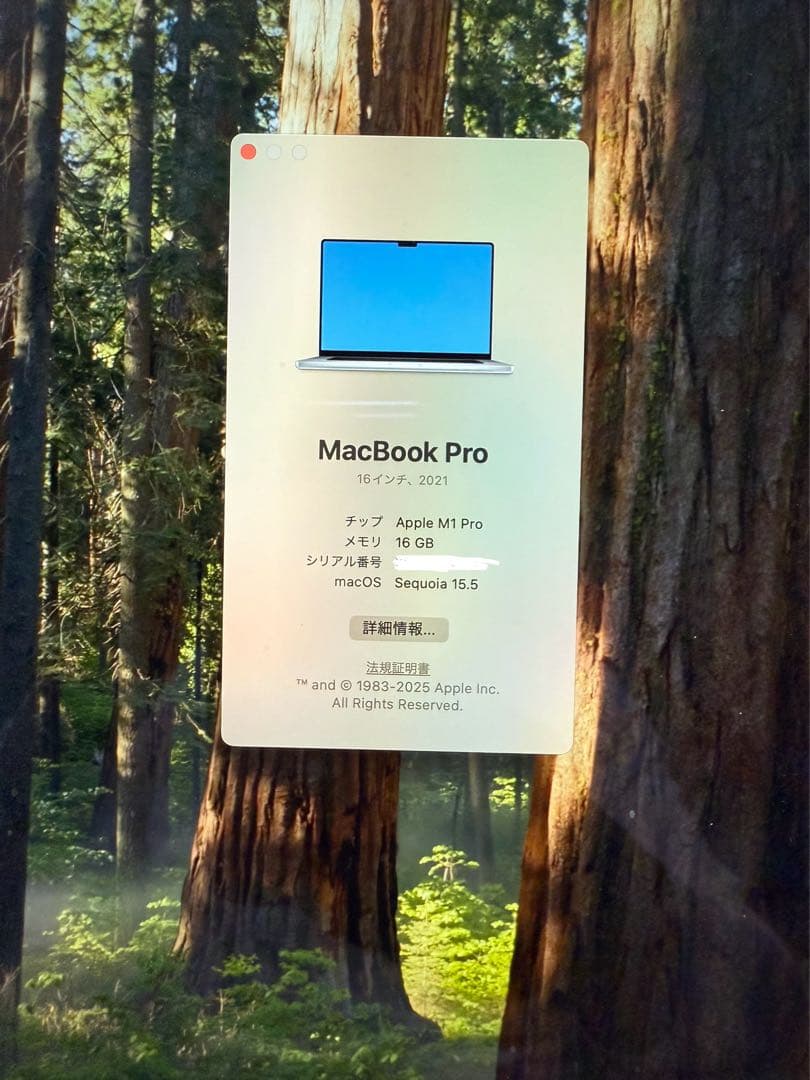 MacBook本体 Apple MacBook Pro (2021) 16GB M1 Pro
