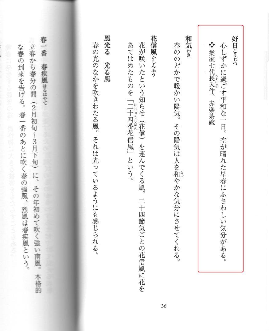 臨済宗大徳寺雲林院住職 藤田寛道造『シミ竹茶杓』銘：好日（共筒・共箱）