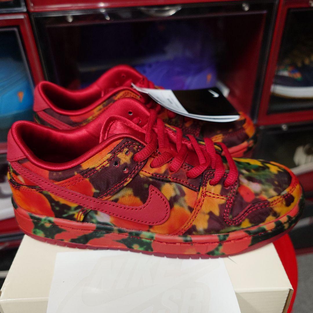 ✨TheWizardofOz × SBPSDunkLowPoppyField✨