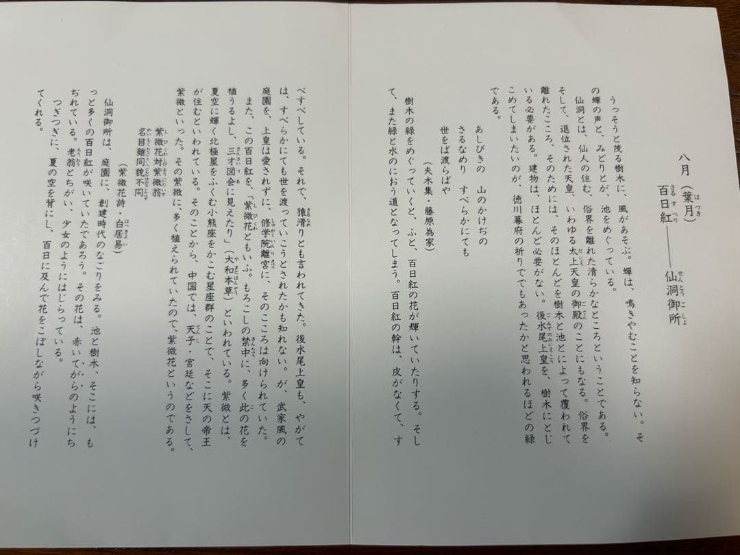 132桑野むつ子 京都 御所の花十二ヶ月【8月百日紅】抹茶椀・和陶皿 しおり付
