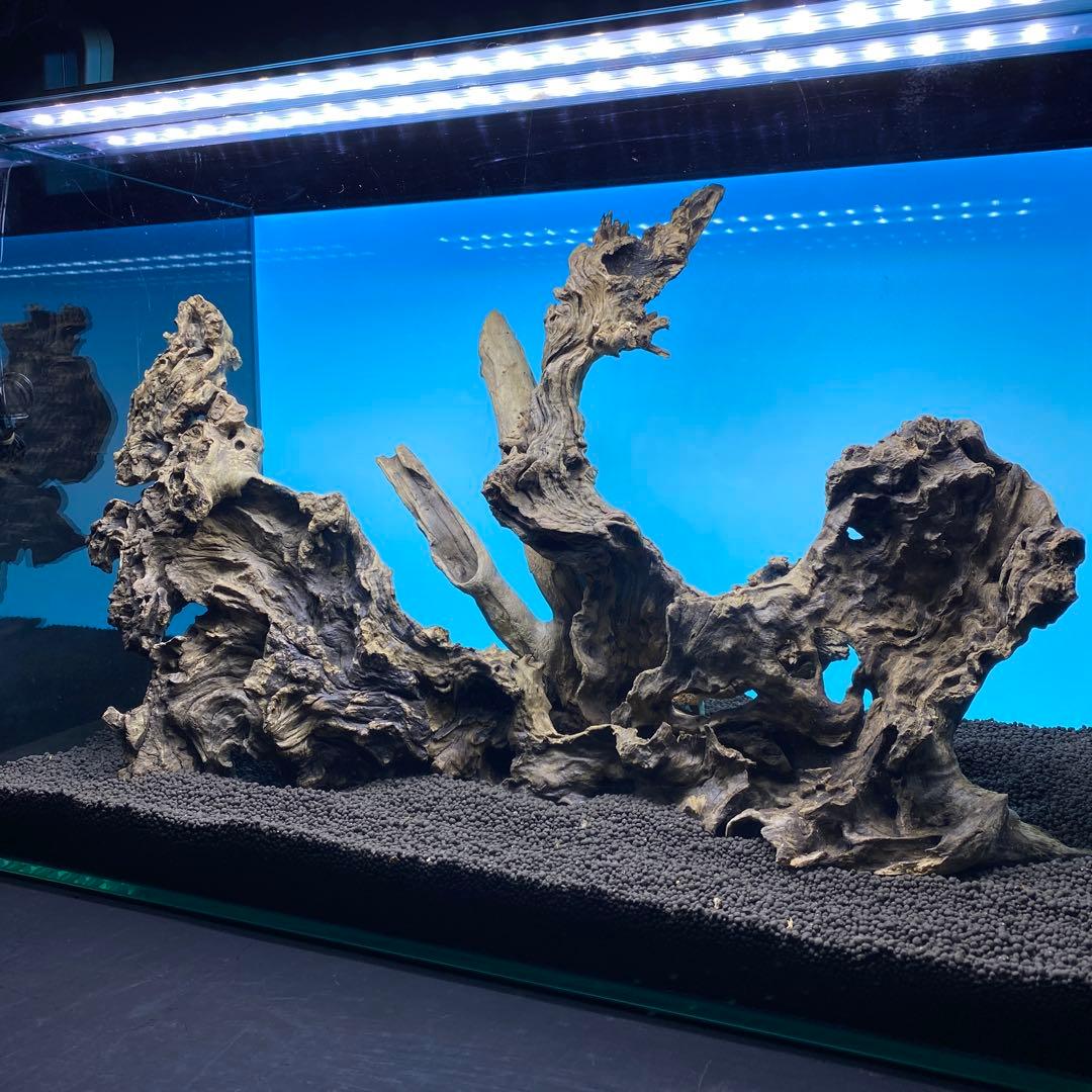 MJW-6614 ジンジャーウッド　レイアウトセット　天然流木　アクアリウム