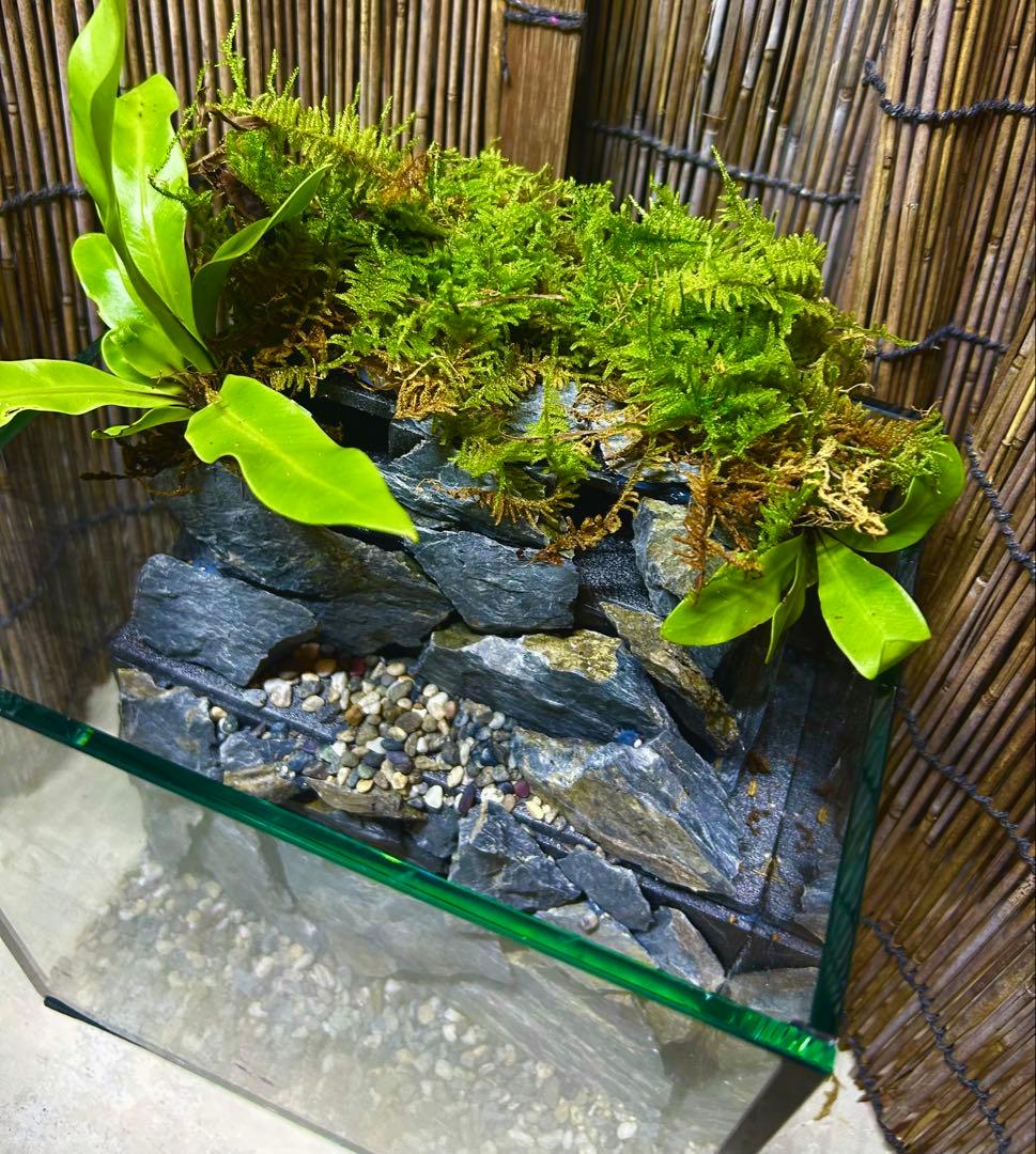 水の流れる滝テラリウム水槽　オールガラス20センチ