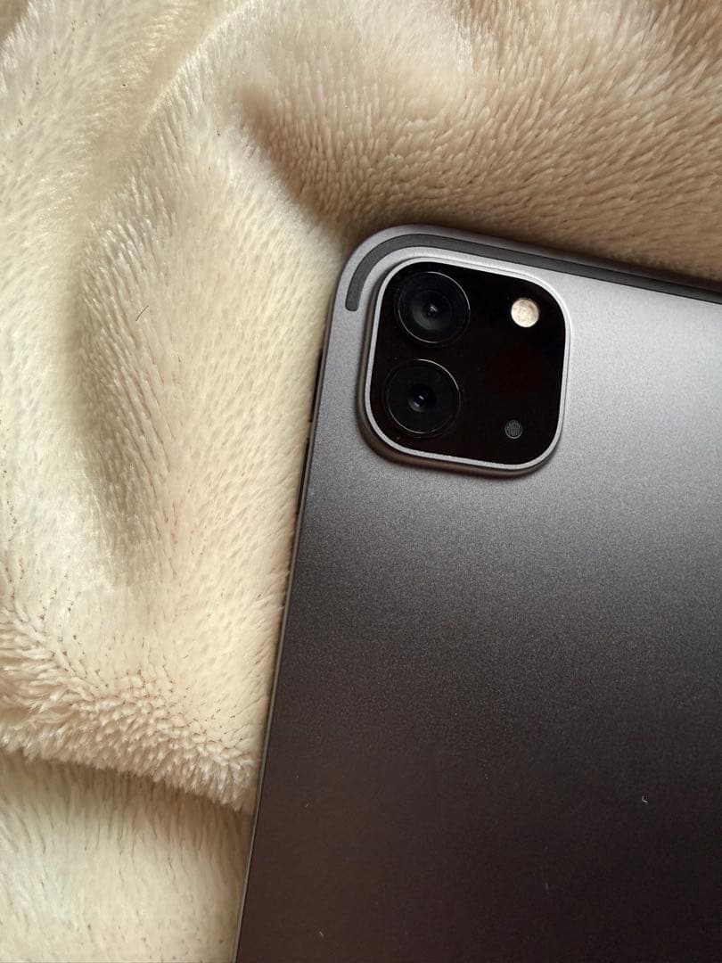 IPad Pro 11インチ第ニ世代 256gb Apple pencil