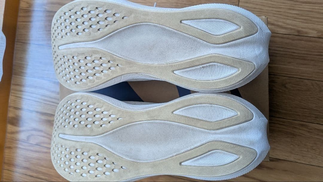 asics EvoRide Speed3　27.0