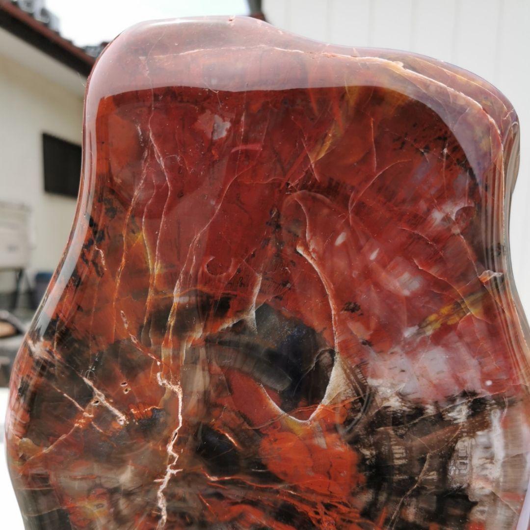 アリゾナ産　珪化木　木化石　鑑賞石　石　置物　オブジェ　インテリア