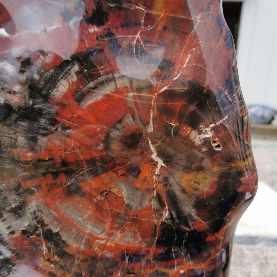 アリゾナ産　珪化木　木化石　鑑賞石　石　置物　オブジェ　インテリア