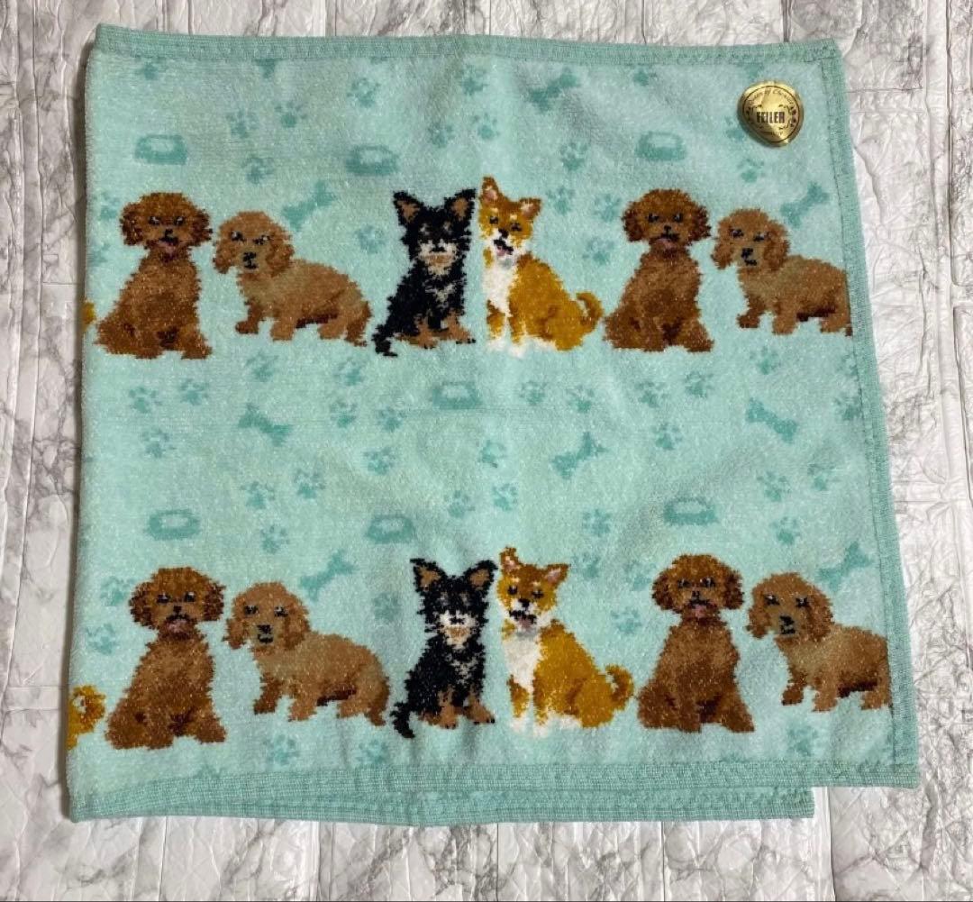 未使用　 フェイラー マイキュートパピー　ハンドタオル