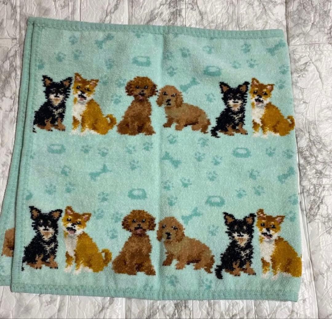 未使用　 フェイラー マイキュートパピー　ハンドタオル