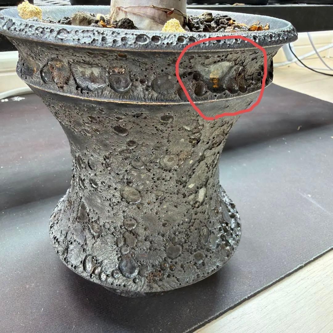 ［ブラックフライデー］コミフォラ ピュアカタフ カタチ製作所