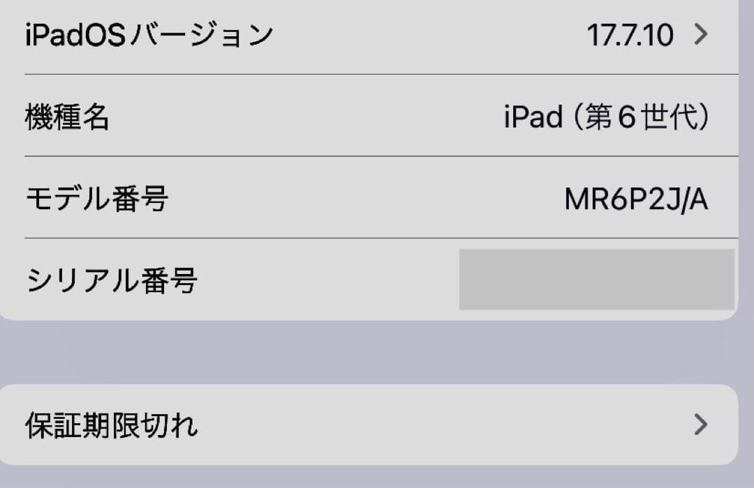 ✨iPad 第6世代 32GB Wi-Fiモデル 専用カバー・等おまけ付き✨
