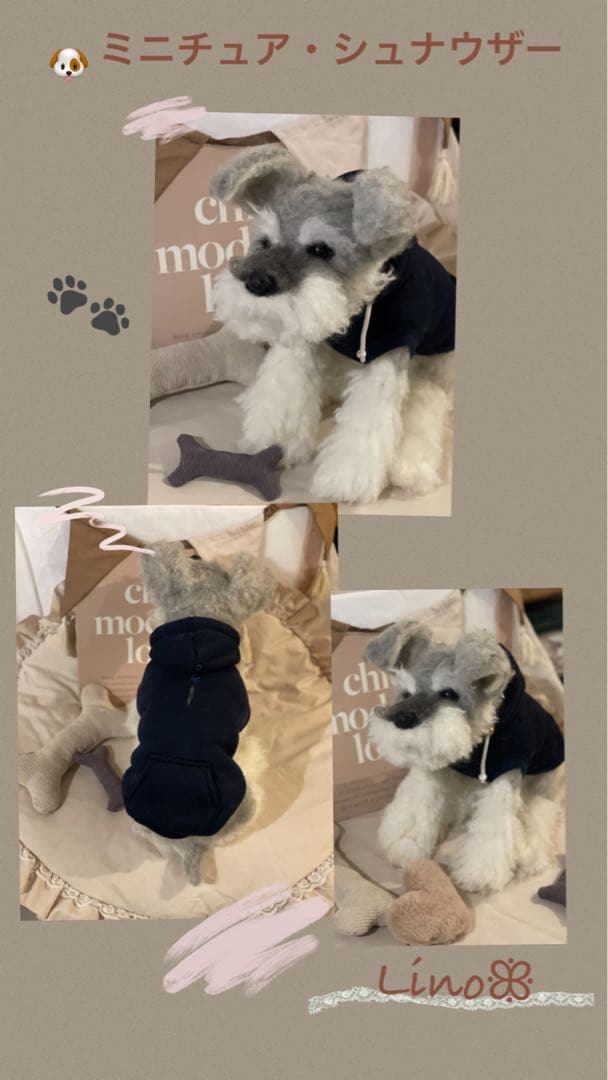 ꕥ羊毛フェルト ੯‧̀͡⬮ミニチュア・シュナウザー