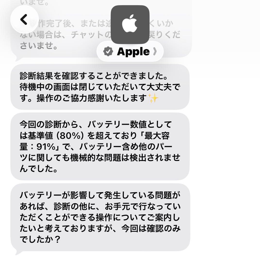 iPad本体 Apple iPad Pro 256GB