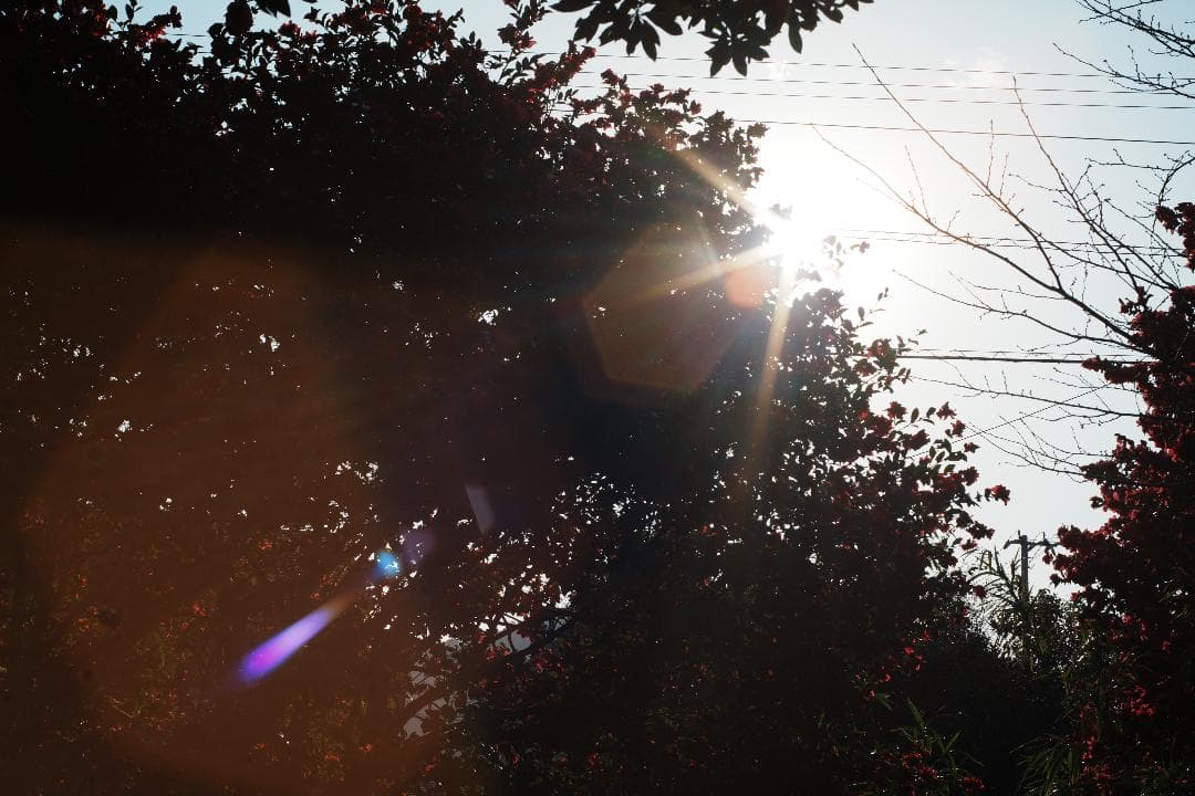 【この値段でライカ級】富岡光学製 XR RIKENON 50mm F2 389