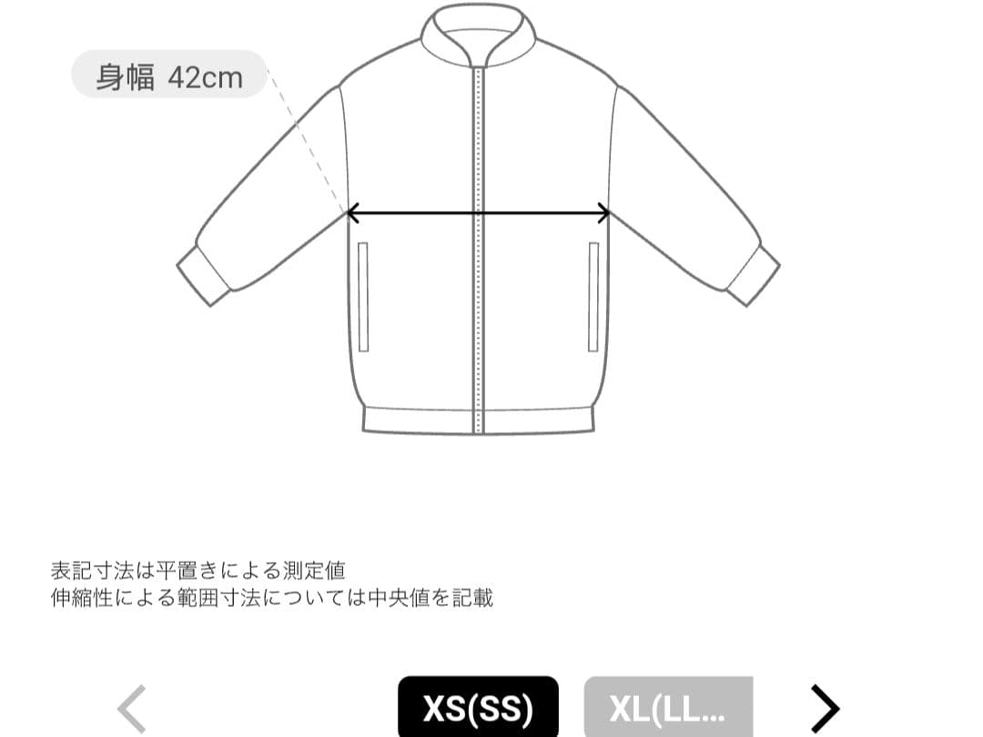 JOJOの奇妙な冒険 ウィンドジャケット xs 三部　ジョジョ　アルペン