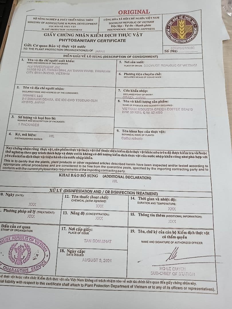 かめさん　生豆 ルビーマウンテン　5kg