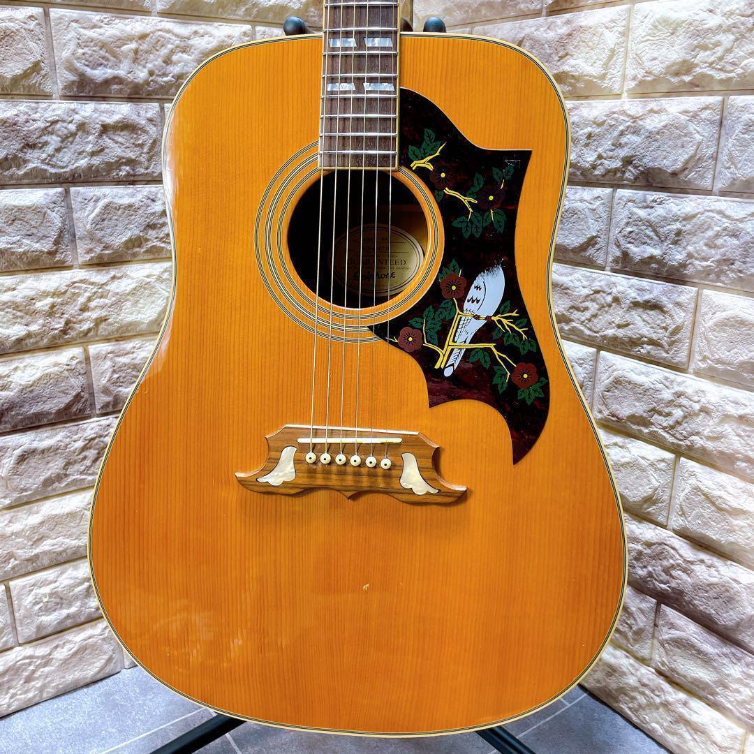 Epiphone エピフォン　Dove アコースティックギター　ギター