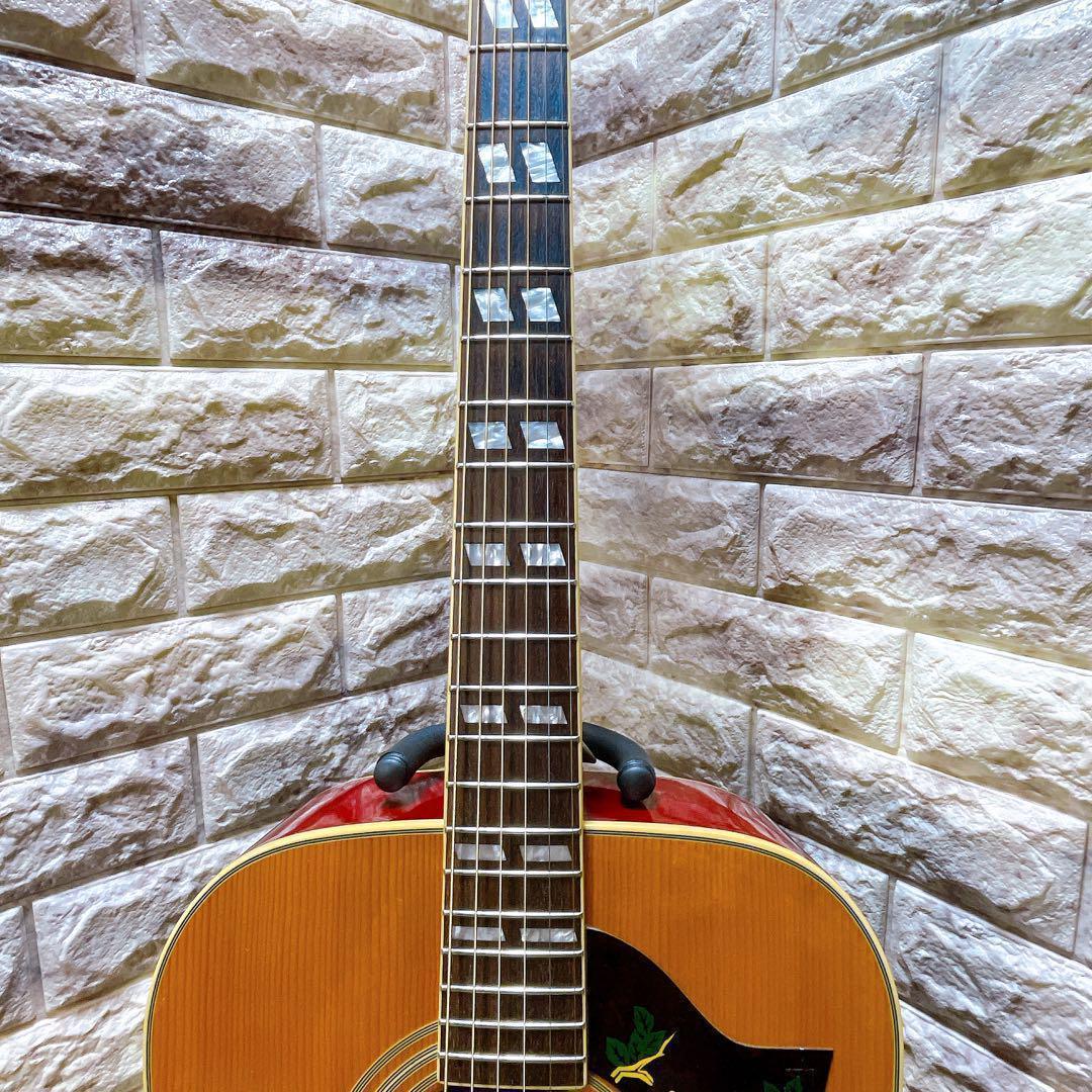 Epiphone エピフォン　Dove アコースティックギター　ギター
