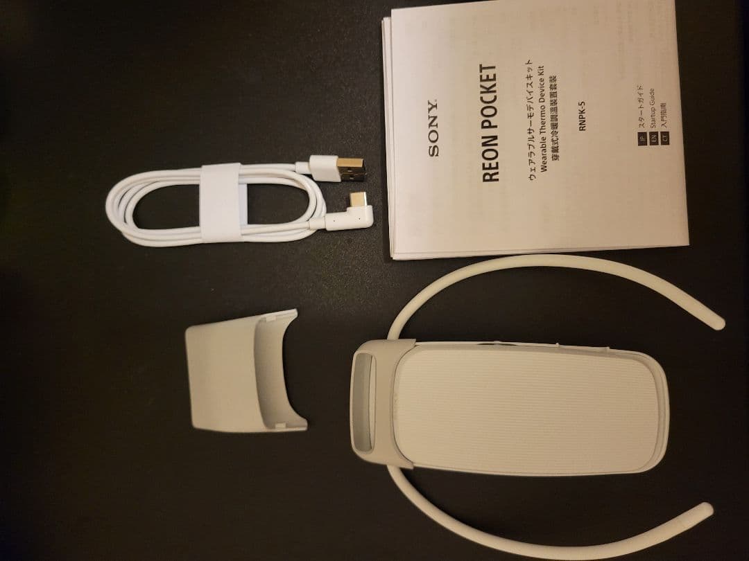 SONY　レオンポケット5