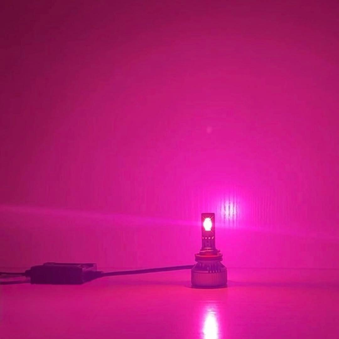 新登場!!30000lm!! H8/H11/H16 爆光 ピンクフォグランプ!!