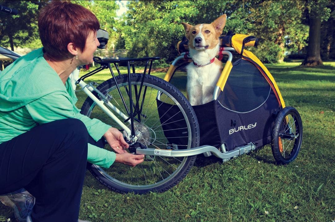 BURLEY ペットカート 自転車　専用　イエロー/ブラック