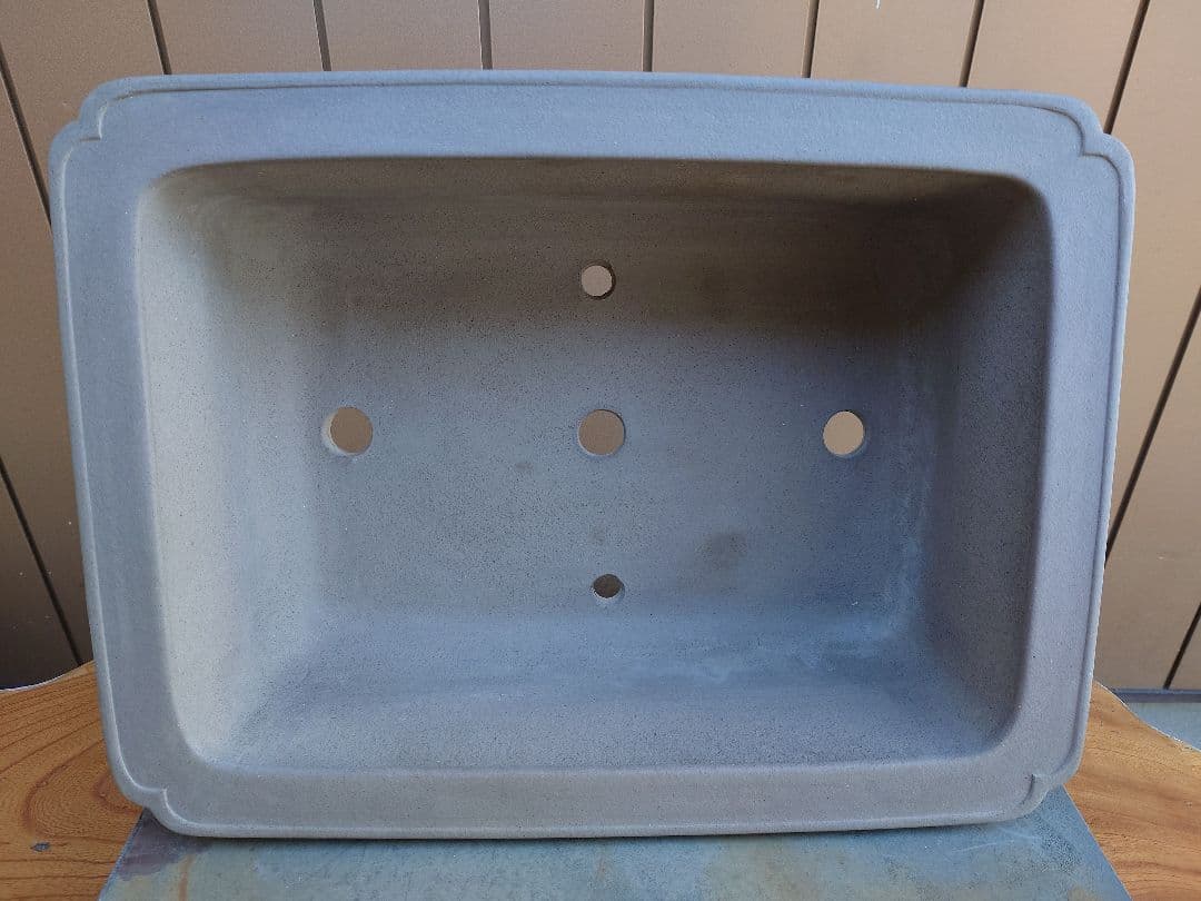 盆栽　鉢　佳山　幅48.5cm