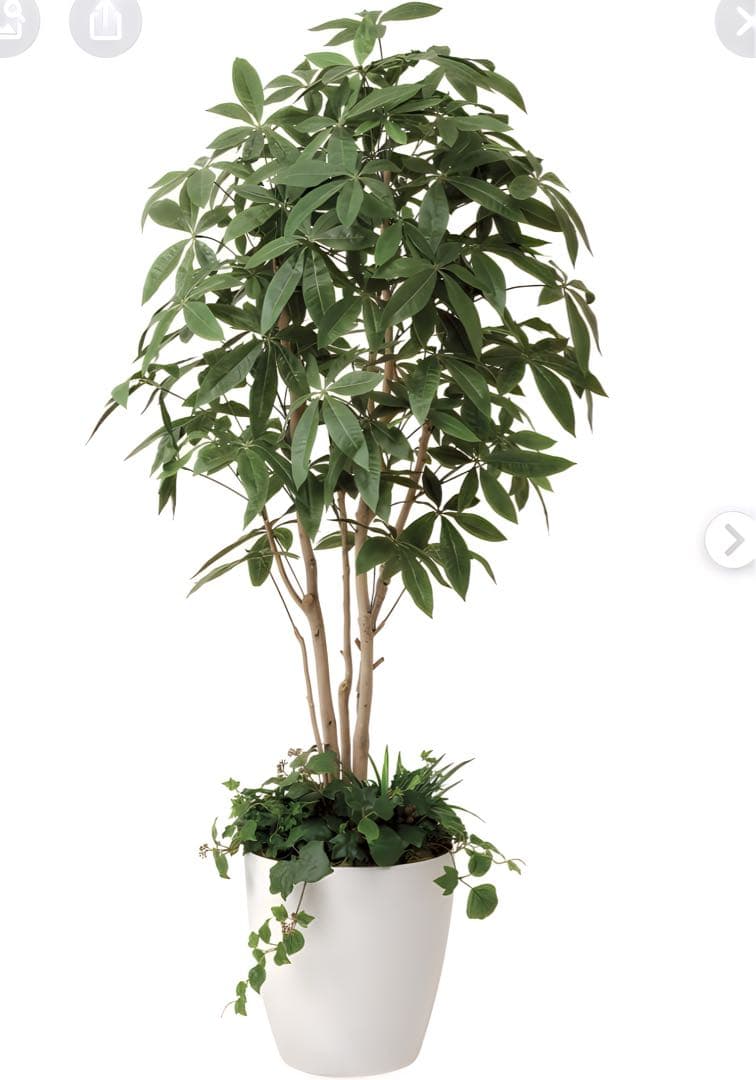 光触媒　人工観葉植物　ウォールグリーン　フェイクグリーン　パキラポット1.8m