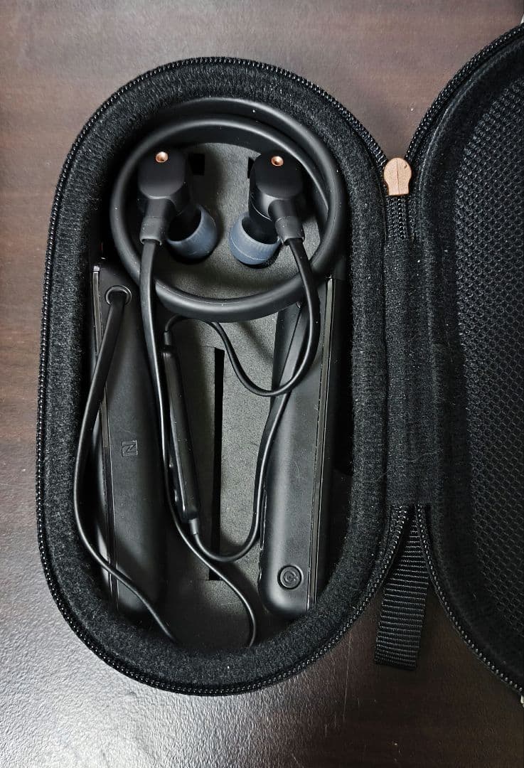 ソニー ワイヤレスノイズキャンセリングイヤホン WI-1000XM2