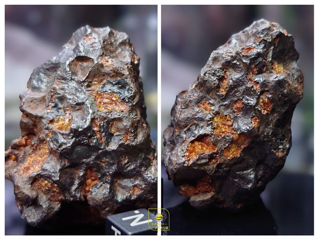 隕石 イミラック パラサイト 126.4g Imilac ⭐⭐⭐