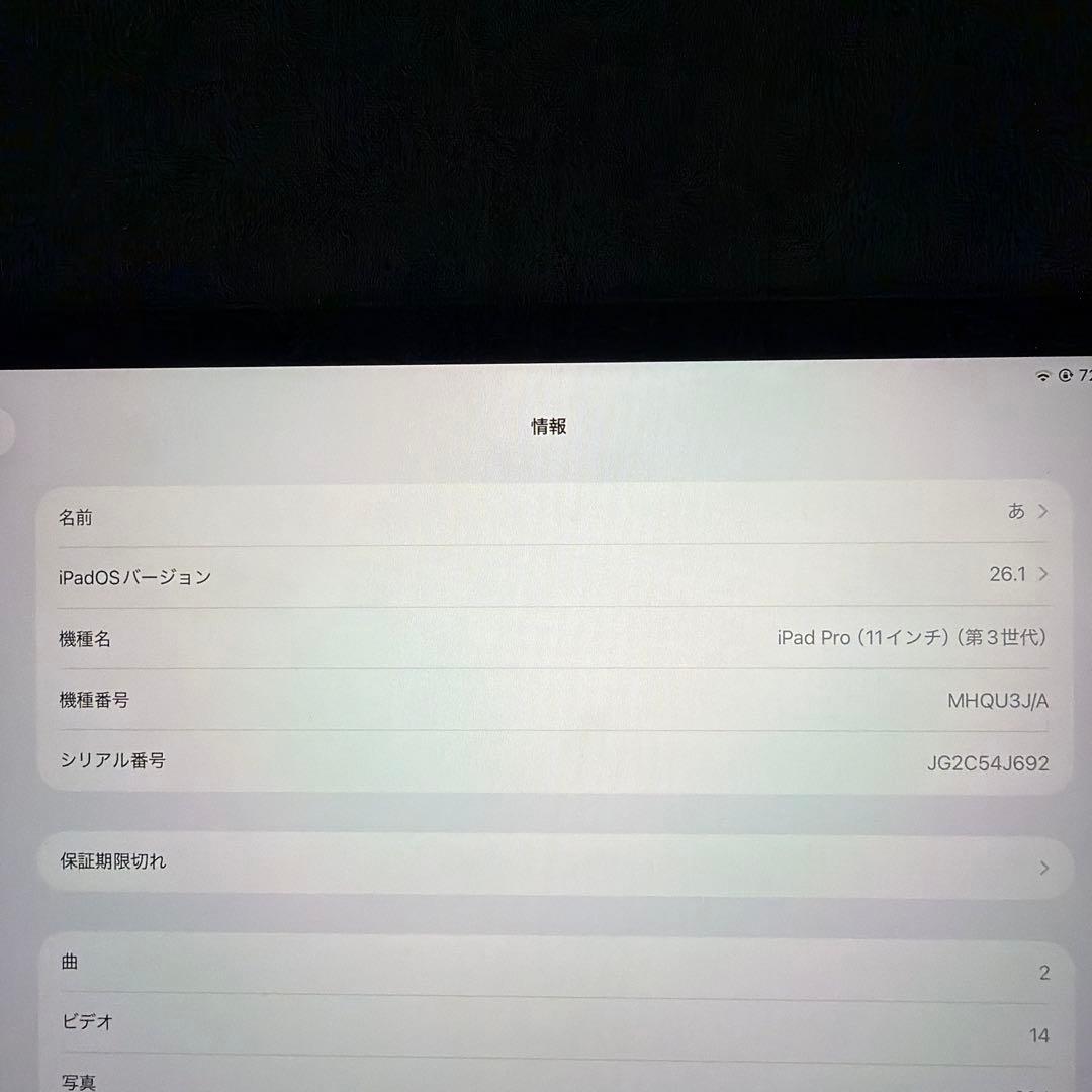 Apple iPad Pro 11インチ 第3世代 256GB