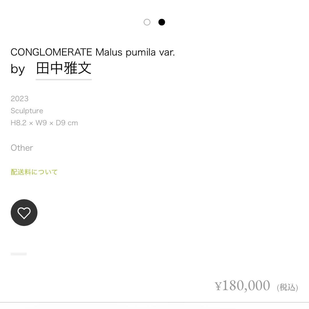 田中雅文 陶器 りんご アート 現代アート var. - 2023