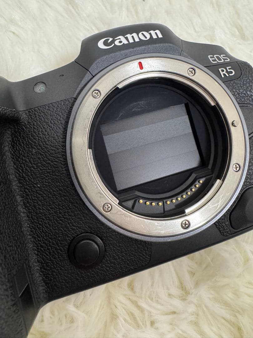 Canon EOS R5 本体 +バッテリー