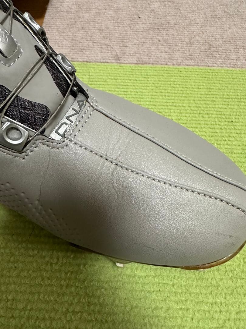 FJ DNA BOA 25cm アダムスコット愛用 名器 ゴルフシューズ
