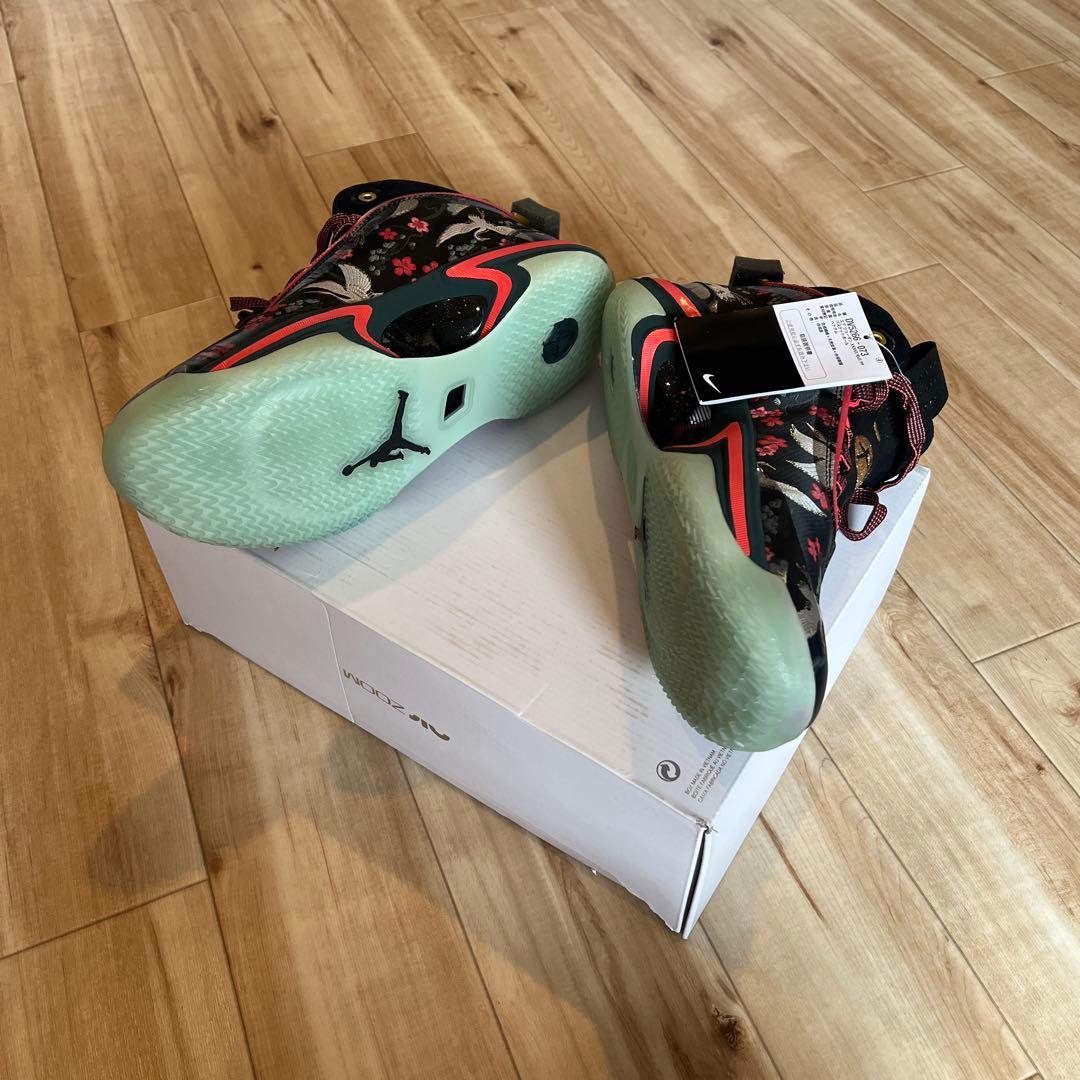 新品未使用NIKEエアジョーダンXXXVI RUI PF