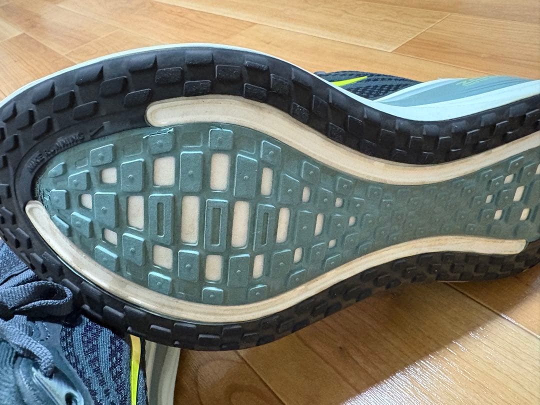 美品オススメです。NIKE ポメロプラス　メンズ27.5cm